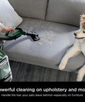 Detect Pro Lift Away ADV Bagless Upright Vacuum cleaning pet hair on a sofa, easy empty dust cup visible, Evergreen Finish LA802.