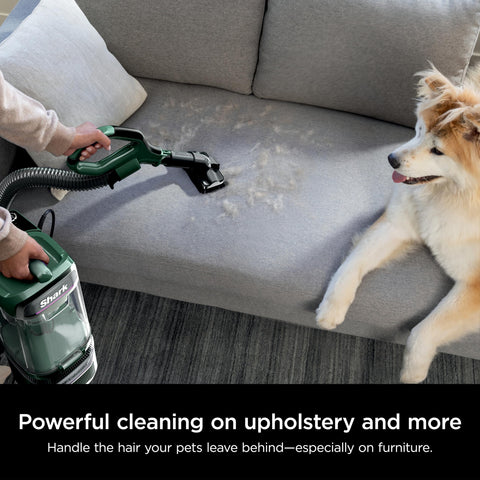 Detect Pro Lift Away ADV Bagless Upright Vacuum cleaning pet hair on a sofa, easy empty dust cup visible, Evergreen Finish LA802.