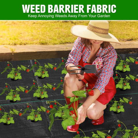 Gardener installing Weed Barrier Landscape Fabric Heavy Duty 3.2oz Ground Cover Mat with plants and tool