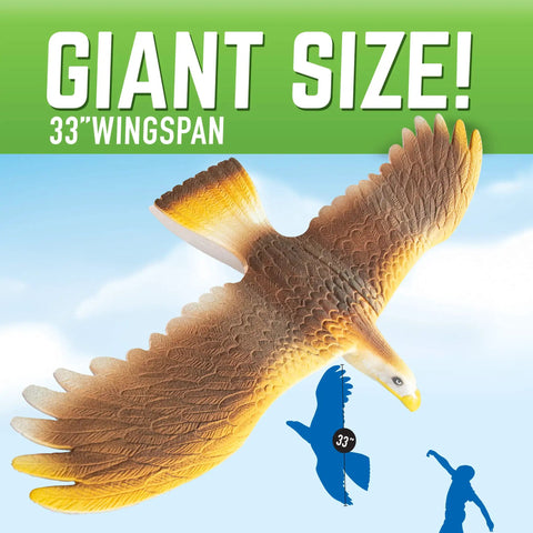 Soaring Hawk Glider Kit With 33 Inch Wingspan For Realistic Bird Flight, showing detailed feathers and large scale size.