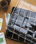 Seedling Starter Tray Set Durable Reusable Plastic Germination Trays With Watertight No Holes Base 21 By 10.75 Inches And 2 Inch Depth 10 Pack For Veggies Herbs And Flowers Indoors
