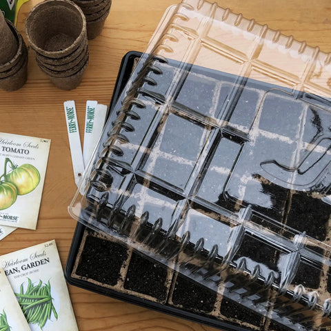 Seedling Starter Tray Set Durable Reusable Plastic Germination Trays With Watertight No Holes Base 21 By 10.75 Inches And 2 Inch Depth 10 Pack For Veggies Herbs And Flowers Indoors