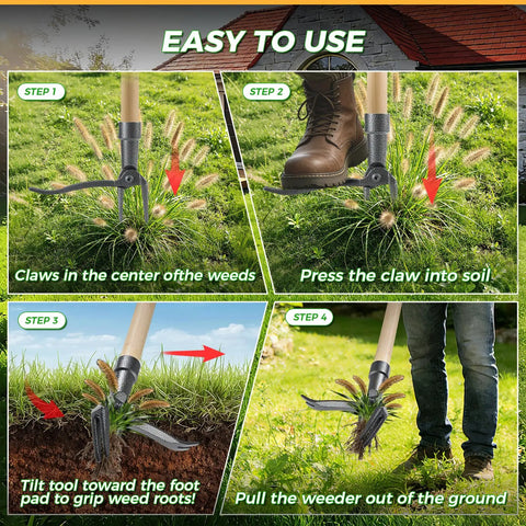 Stand Up Weed Puller Tool With Long Handle For Easy Root Removal No Kneeling, Heavy Duty 4 Claw Steel Head Weeder usage steps