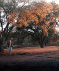 A person balancing on the Infinity Slackline Kit With 100 Foot Longline under trees in a sunny park.