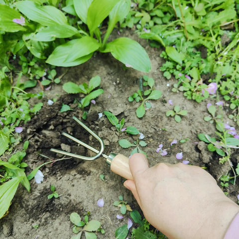 Using hand rake from 5 Piece All In One Garden Tool Set With Large Trowel, Transplanter, Weeder, Hand Rake And Cultivator For Quick Digging, Planting