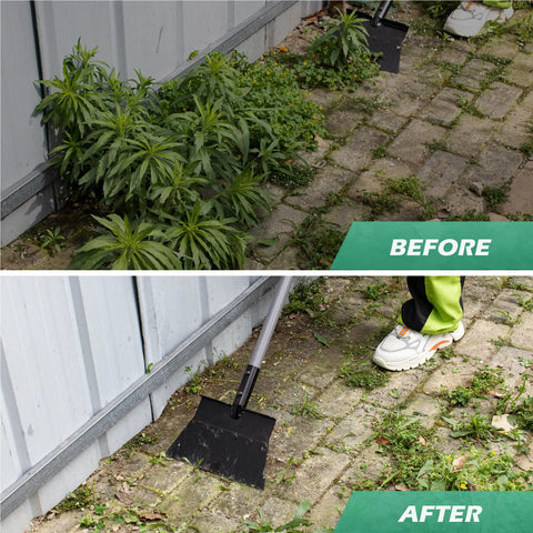 Before and after using Garden Flat Shovel With 12 Inch Wide Blade And 54 Inch Adjustable Handle Heavy Duty Outdoor Floor Scraper.