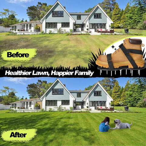 Lawn Aerator Shoes Upgrade 2.4-Inch Heavy Duty Spike Aeration Shoes With Adjustable Hook And Loop Straps One Size Fits All Easy Install For Yard Lawns Soil Patio Dark Black shown in use with before and after lawn results.