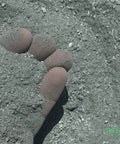 Hand holding Blue Grey Decomposed Granite 40 Pounds for easy install compactable outdoor pathways patios and walkways landscaping