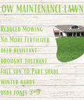 Micro Clover Seed Kit For Lawn Transformation Organic Coated Eco Friendly Low Maintenance Grass Alternative That Spreads Easily Four Point Four Ounce Seed Packet Compostable Pouch Covers Up To 1000 Sq Ft Kid And Pet Safe image showing low maintenance lawn benefits