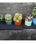 Heavy Duty Plant Drainage Saucers 2 Pack Rectangular Seed Starter Trays 11x9 Inch Plastic Drip Trays with pots indoors on stone