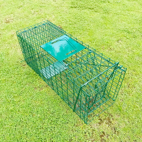 Foldable humane live animal cage trap kit 26 inch no kill catch and release two door on grass, heavy duty steel mesh, green