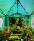 Interior view of 8x6 Portable Walk In Greenhouse Pop Up Indoor Outdoor Garden Shelter Kit With Zippered Doors And Windows PE Cover Clear Green