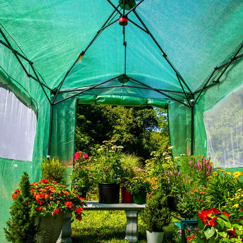 Interior view of 8x6 Portable Walk In Greenhouse Pop Up Indoor Outdoor Garden Shelter Kit With Zippered Doors And Windows PE Cover Clear Green