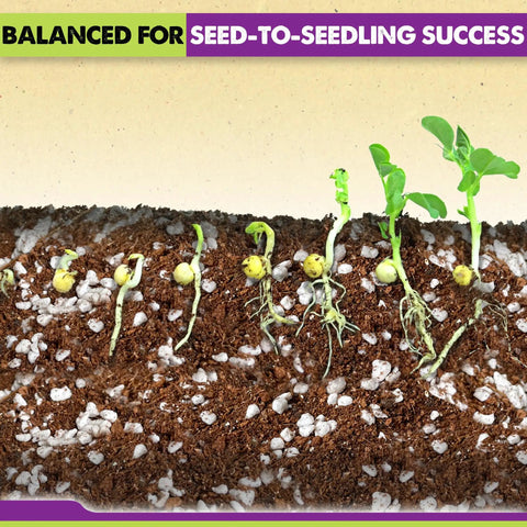 Ready To Use Seed Starting Soil Mix With Coco Coir, Perlite, Vermiculite, And Worm Castings, 8 Dry Quarts, Peat Free 4-In-1 Blend For Germination And Seedlings with germinating seeds on enriched soil.