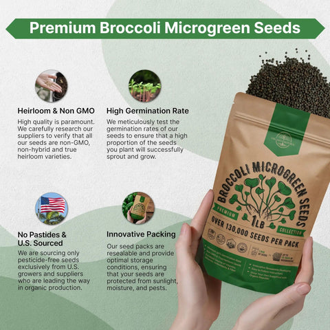 Broccoli Sprouting And Microgreens Seeds Kit 1 Lb Resealable Bag Non GMO Heirloom Sprout Seeds For Soil Coconut Coir Aerogarden And Hydroponics Perfect For Growing Microgreens At Home