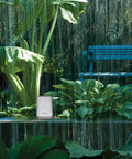 Self Emptying Rain Gauge With Wireless Indoor Display And Outdoor Temperature And Humidity Sensor For Backyard Weather Nerds