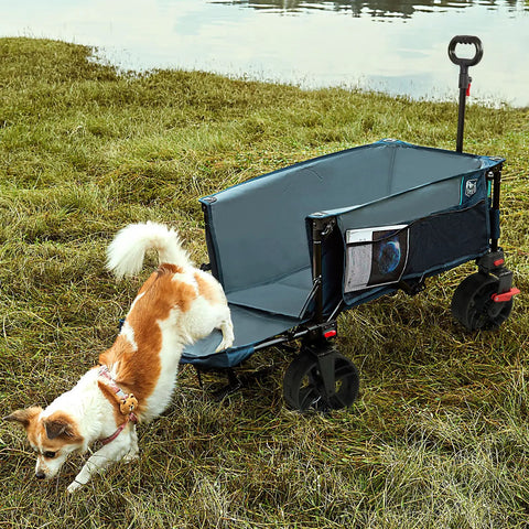 Heavy Duty Collapsible Wagon With Tailgate And Brakes All Terrain Big Wheel Cart 250L Foldable Utility Cart For Beach Camping Sand Sports Shopping 300 Lb Capacity Blue shown by a lake with a dog climbing in.