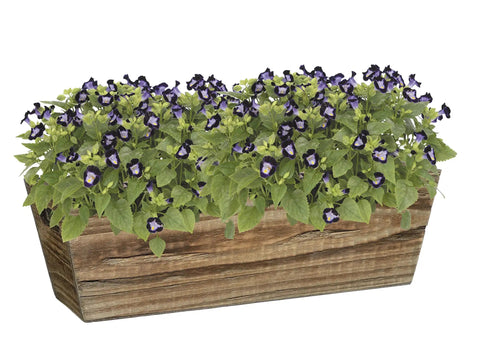 Wood Window Box In Buffalo Brown With Easy Grab Handles Durable Yet Lightweight Planter For Patio Garden Deck Windowsill Or Countertop Fully Assembled With Removable Plastic Liner For Indoor Or Outdoor Use