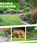 Garden scene showcasing Heavy Duty Plastic Garden Edging Border Kit with 20 ft flexible no dig borders and 20 anchoring stakes.
