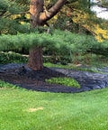 Pro-5 Heavy-Duty Weed Barrier Fabric 5 Oz Ground Cover Mat 6 by 250 Feet installed around tree in garden