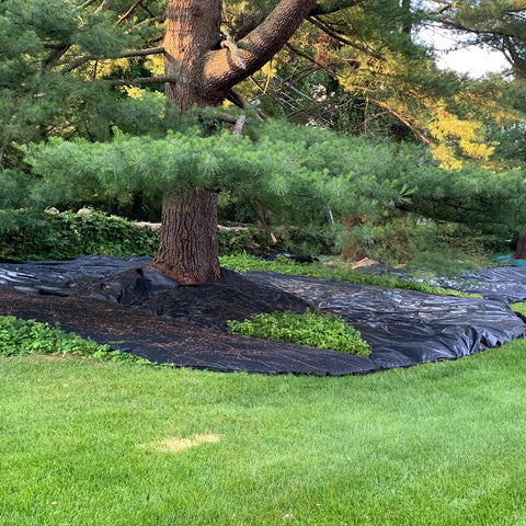 Pro-5 Heavy-Duty Weed Barrier Fabric 5 Oz Ground Cover Mat 6 by 250 Feet installed around tree in garden