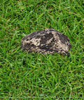 Outdoor Fake Rock Key Hider That Looks And Feels Like Real Stone, Weatherproof Spare Key Storage For Garden Or Yard on grass