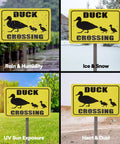 Four images of yellow 'Duck Crossing' signs in different weather conditions: rain, snow, sunlight, and dusty environment.