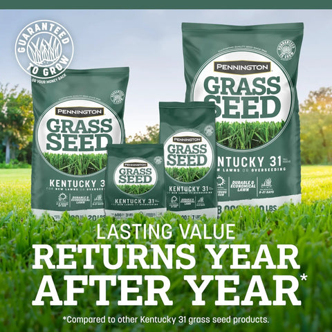 Premium Kentucky 31 Tall Fescue Grass Seed To Build A Badass Drought Resistant Lawn displayed in various bag sizes on grass