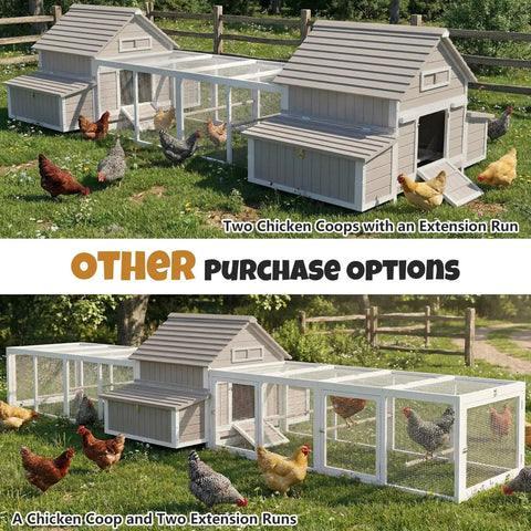 Cozy Predator Proof Chicken Coop For 2 To 4 Chickens With 2 Nesting Boxes Easy Clean Removable Tray Wooden Hen House