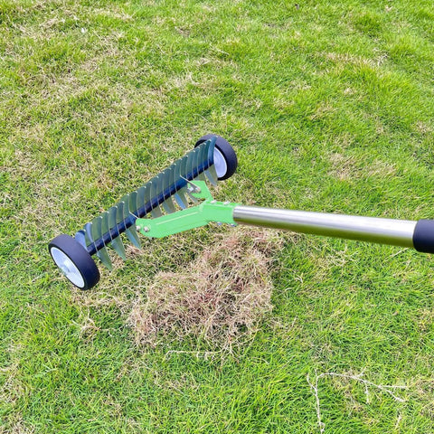 Beefy Heavy Duty Lawn Thatching Rake With Roller Design For Effortless Dead Grass Removal And Soil Loosening in garden use.
