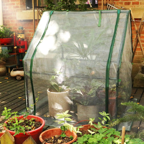 Compact Portable Greenhouse With Mesh Cover For Outdoor Seedlings And Plants, Easy Setup No Fuss And Great Ventilation For Spring Summer And Fall, Sturdy Iron Frame Made From Three Quarter Inch Pipes, 36.2 By 36.2 By 42.5 Inches