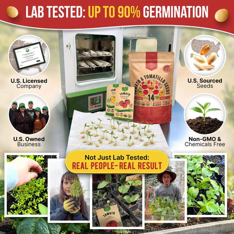 14 Rare Tomato And Tomatillo Garden Seeds Variety Pack With Over 1025 Non GMO Heirloom Seeds for indoor and outdoor gardens