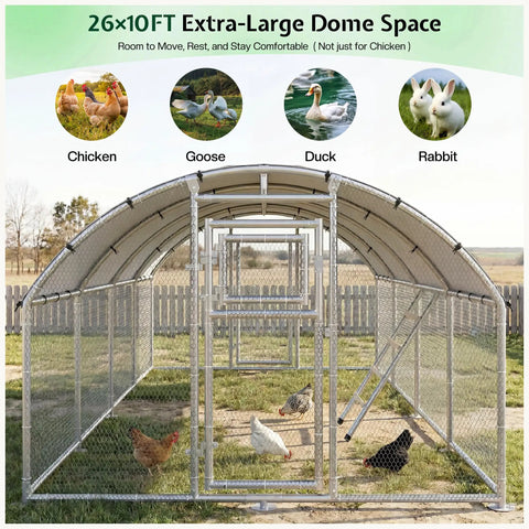 26 By 10 Ft Extra Large Walk In Chicken Coop With Dome Roof Front And Rear Doors Feeding Door Roosting Ladder Outdoor Poultry Cage With Galvanized Steel Frame Easy Standing Room For 16 To 25 Hens Easy Clean Backyard Ready Coop with animals inside