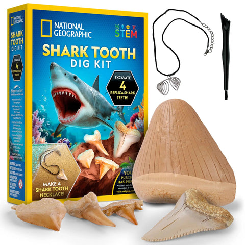 Shark Tooth Dig Kit Excavate Replica Fossils From Ancient Sharks And Make A Shark Tooth Necklace STEM Science Kit for kids ages 6 to 8.