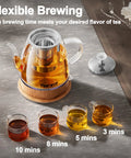 Glass Electric Kettle With Removable Stainless Steel Infuser 1 Liter Dual Purpose For Tea Coffee And Hot Water Auto Shut Off Boil Dry Protection BPA Free Easy Pour Design brewing different tea strengths
