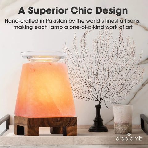 Himalayan Salt Lamp Diffuser With Wood Base And Glass Bowl For Essential Oils Dimmer Light Modern Calming Indoor Decor