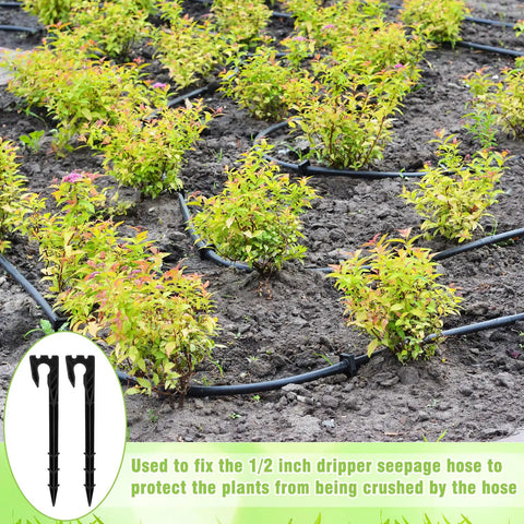 50 Pack 8 Inch Hose Hold-Down Anchor Stakes For 1/2 Inch, 1/4 Inch, And 5/32 Inch Drip Tubing in garden setup with tubing.