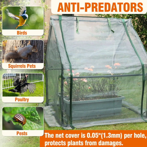 Compact Portable Greenhouse With Mesh Cover For Outdoor Seedlings And Plants, Easy Setup No Fuss And Great Ventilation For Spring Summer And Fall, Sturdy Iron Frame Made From Three Quarter Inch Pipes, 36.2 By 36.2 By 42.5 Inches