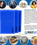 Replacement Filter Pads 16x25 3 Pack with Fiberglass Media and Activated Carbon Center in blue with product diagram and details.