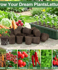24 Pack Seed Starter Pods With Reusable Tray displayed with hydroponic grow sponges and various vegetables on a garden table.
