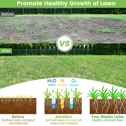 Before and after lawn care with 17 Inch Heavy Duty Rolling Lawn Aerator with sharp spikes and anti slip handle for healthier turf.