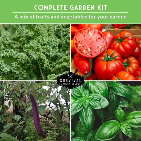 Indoors Or Outdoors Vegetable Seed Kit With 20 Heirloom Non GMO Varieties For Beginners A Great Gift For Family Gardeners