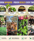 Image promoting 35 Medicinal And Tea Herb Seeds Variety Pack For Indoor And Outdoor Planting With 16,335+ Non GMO Heirloom Seeds