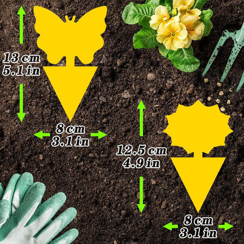 Ultra Thick Yellow Sticky Traps For Fruit Flies And Fungus Gnats With 48 Pack visible on soil, measuring 13 cm and 12.5 cm.