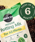 Start Your Indoor Plant Glow Up For Top Shelf Potting Mix For All Houseplants keeping roots thriving for up to six months in a 6 quart bag.