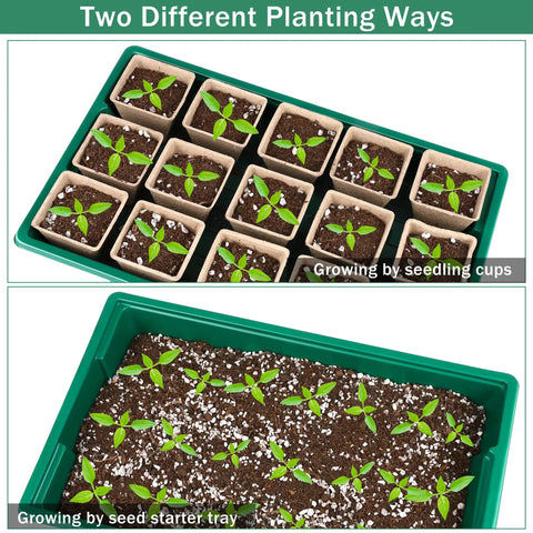6 Pack Seed Starter Tray Kit With 120 Square Peat Pots Plant Labels And Mini Garden Tools Germination Trays With Transparent Covers Paper Starter Pods For Seedlings Perfect For DIY Indoor Seed Starting And Easy Transplanting