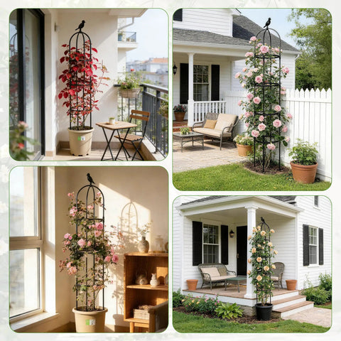 4 images of 6ft obelisk garden trellis with climbing plants in outdoor and indoor settings, featuring rustproof metal pipe with plastic coating.