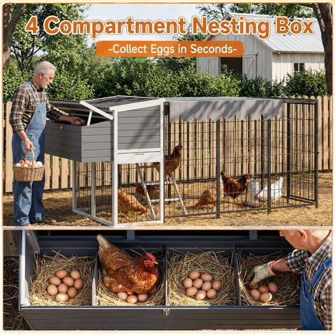 Durable Outdoor Chicken Coop With 90 Inch Run For 6 To 10 Chickens Wooden Nesting Box Waterproof Roof Pull On Tray Ramp And Perch Secure Iron Frame Easy Backyard Setup In Gray with farmer collecting eggs