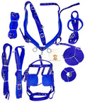 Blue Nylon Horse Driving Harness for Single Horse Cart with Chrome Plated Fittings and Buckles, parts laid out.
