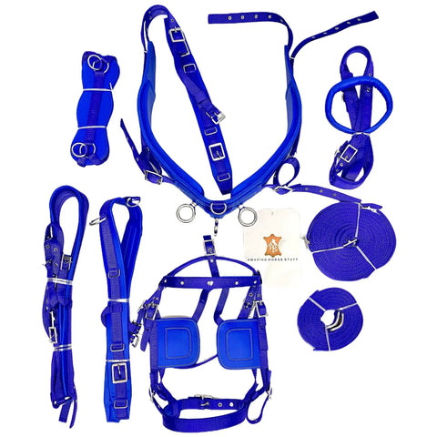 Blue Nylon Horse Driving Harness for Single Horse Cart with Chrome Plated Fittings and Buckles, parts laid out.